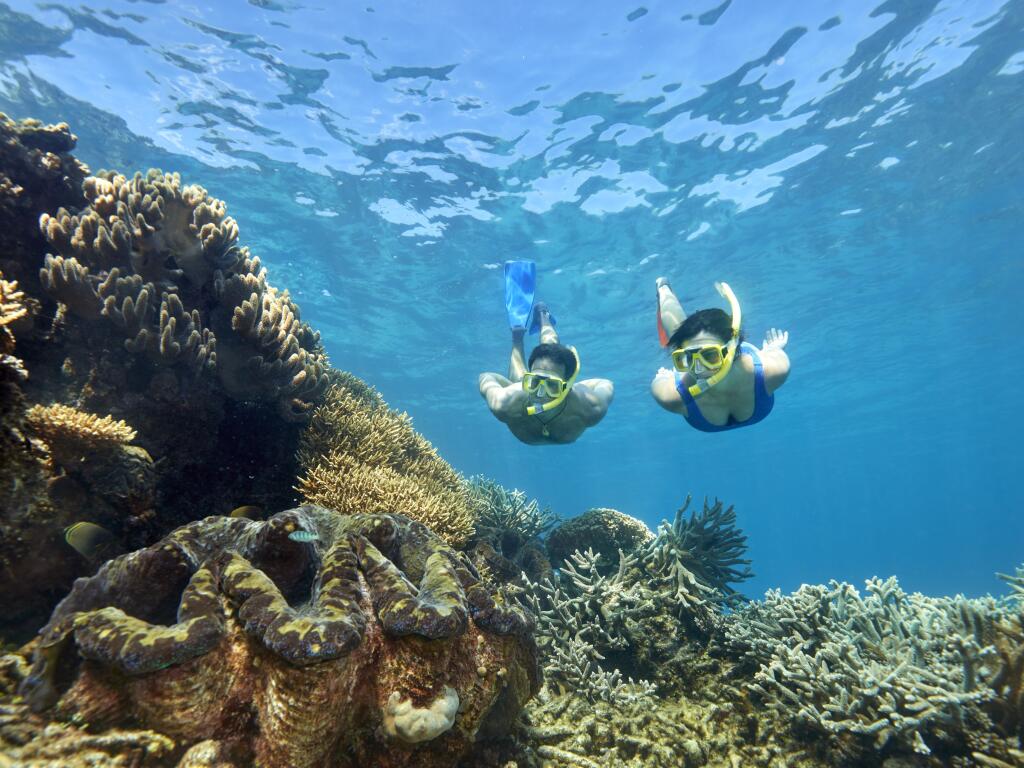 Port Douglas Sun, Fun, Adventure 