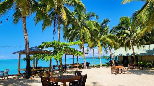 Beach Area