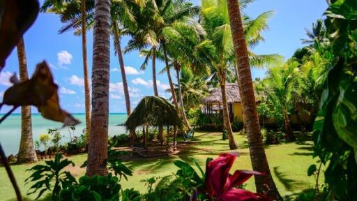 Resort Grounds