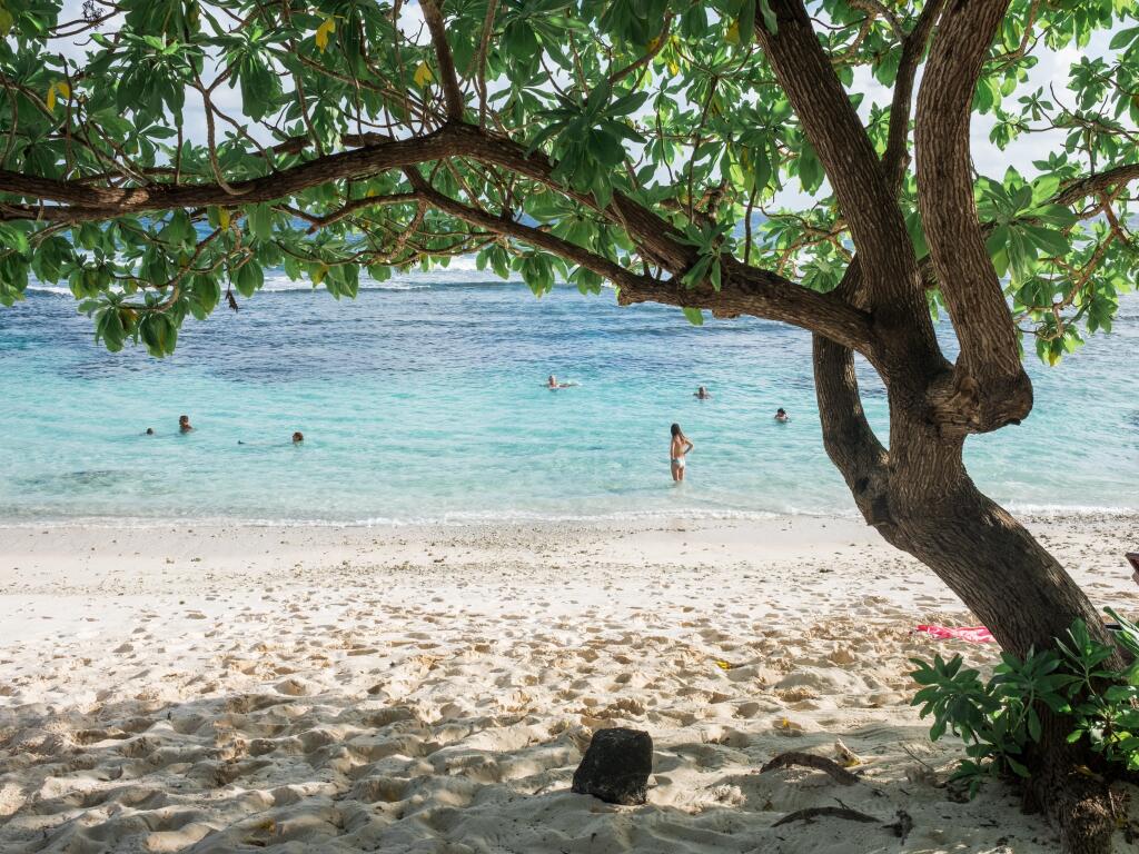 Relax beachside