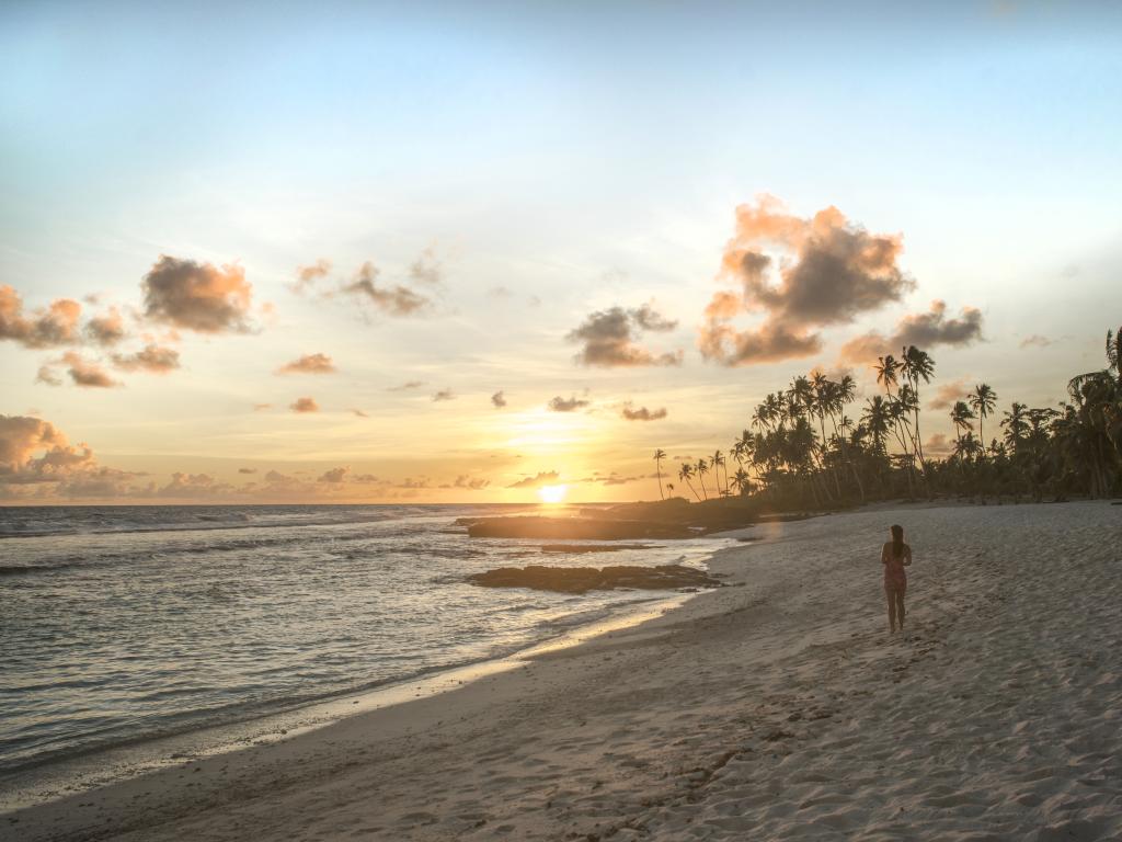 Pure Paradise: Free Nights + Bonuses Save up to 33%