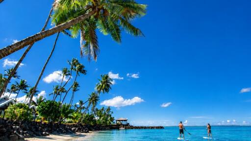 Stand Up Paddling