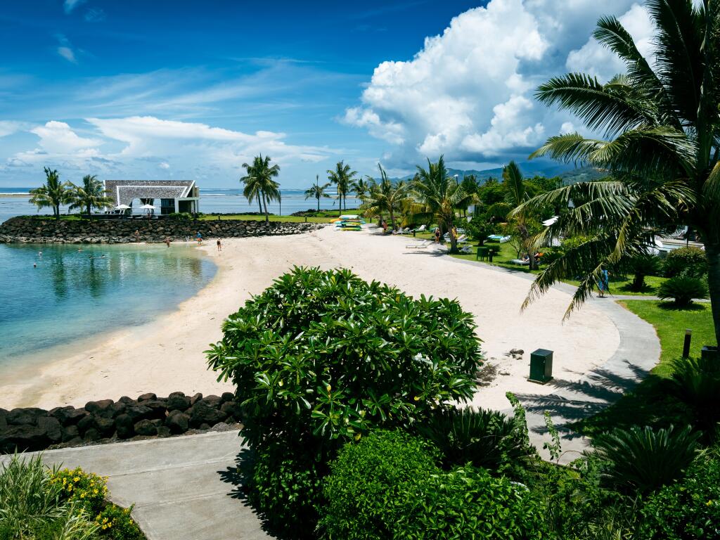 Tropical Paradise: Save 30% + Bonus Extras