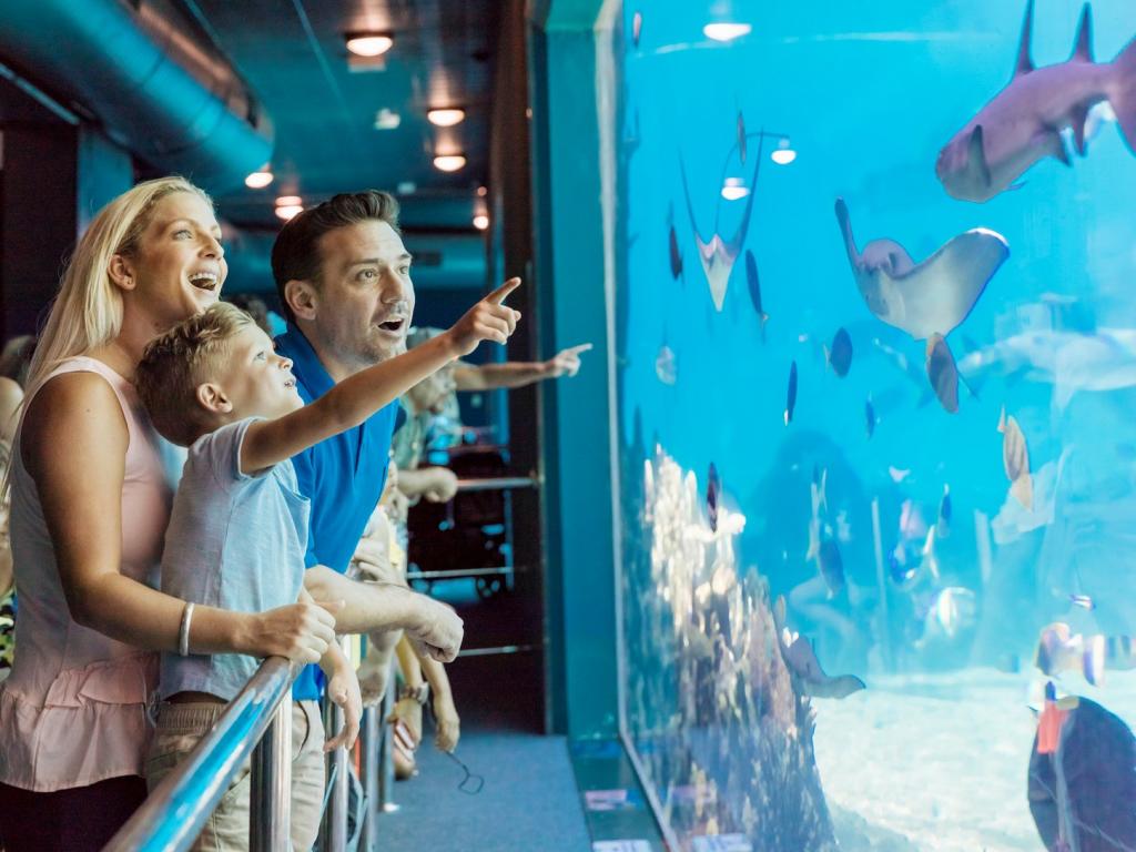 Queensland Holidays Deals Up To 50 Off Qld Holiday Packages