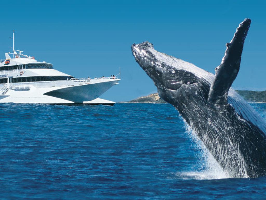 Tangalooma Adventure Package
