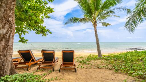 Beach Sun Loungers