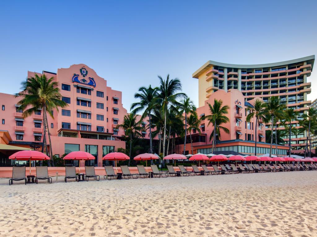 Pink Palace: Waikiki Hot Offer