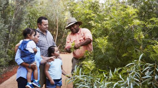 Indigenous Activity - Guided Garden Walk