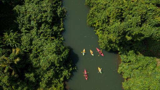 River Kayak Tour Option