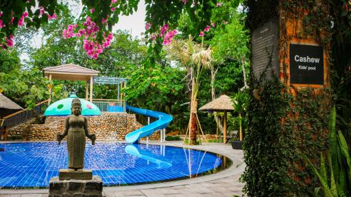 Cashew Kids Pool
