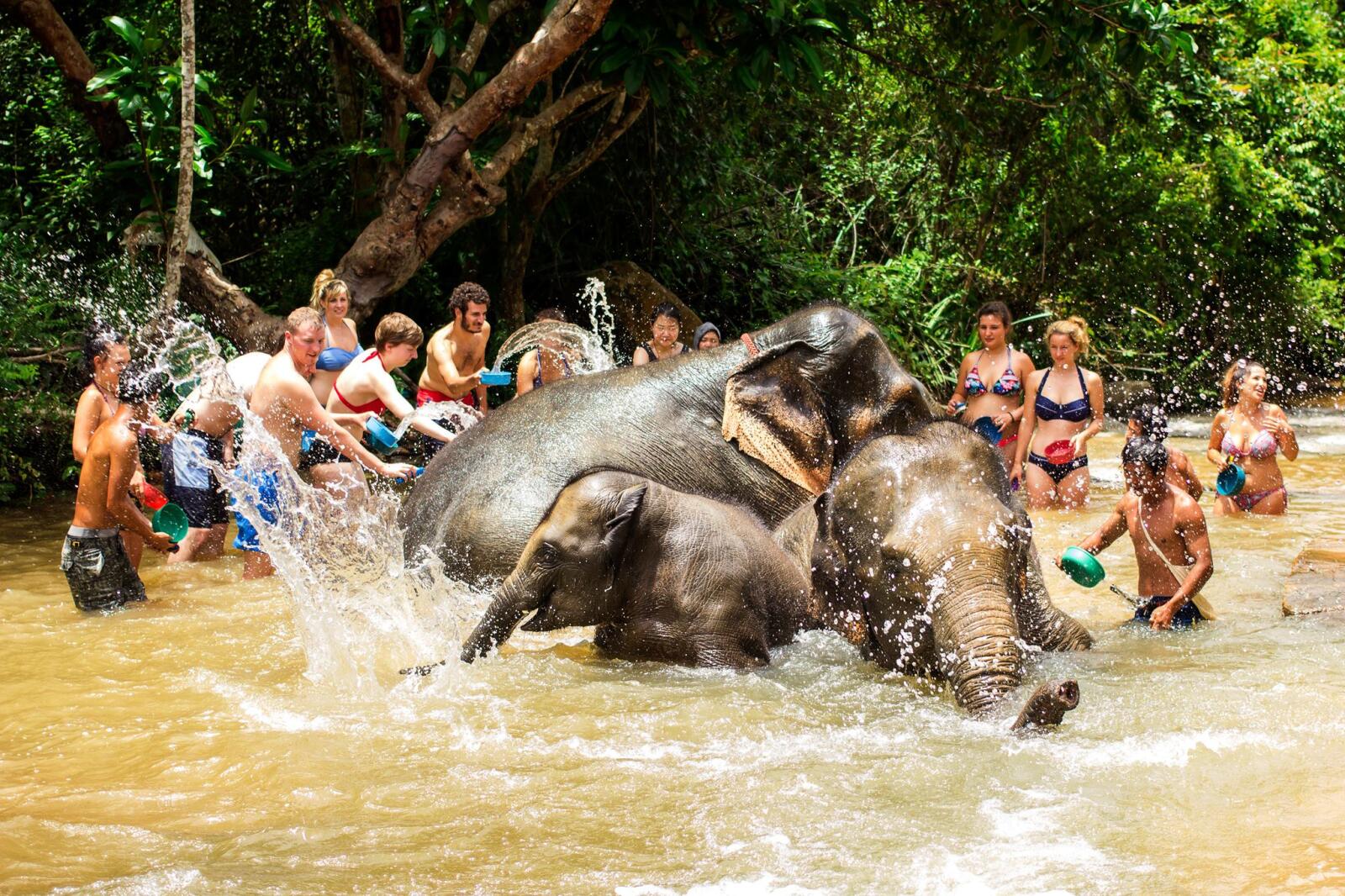 Elephant Jungle Sanctuary