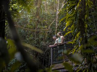 Daintree - Tourism TNQ