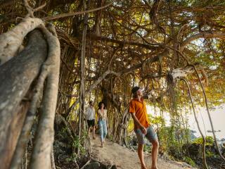 Tourism Port Douglas Daintree - Hiking Port Douglas Lookout