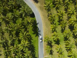 Tourism and Events Queensland - Drive to Thala Beach