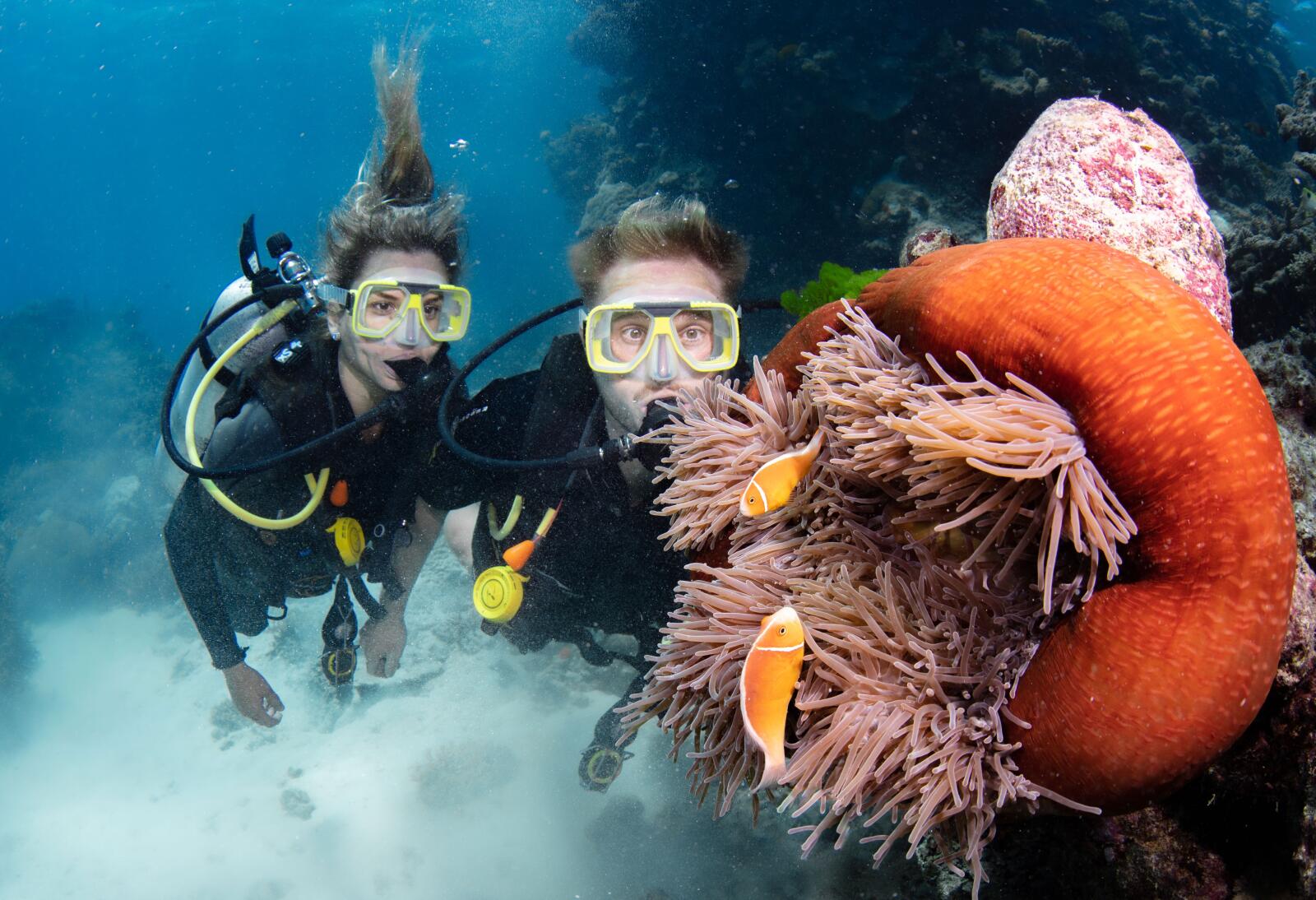 Silverswift Outer Barrier Reef Cruise Certified Diving