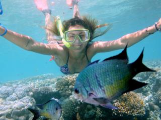 Great Barrier Reef Adventure