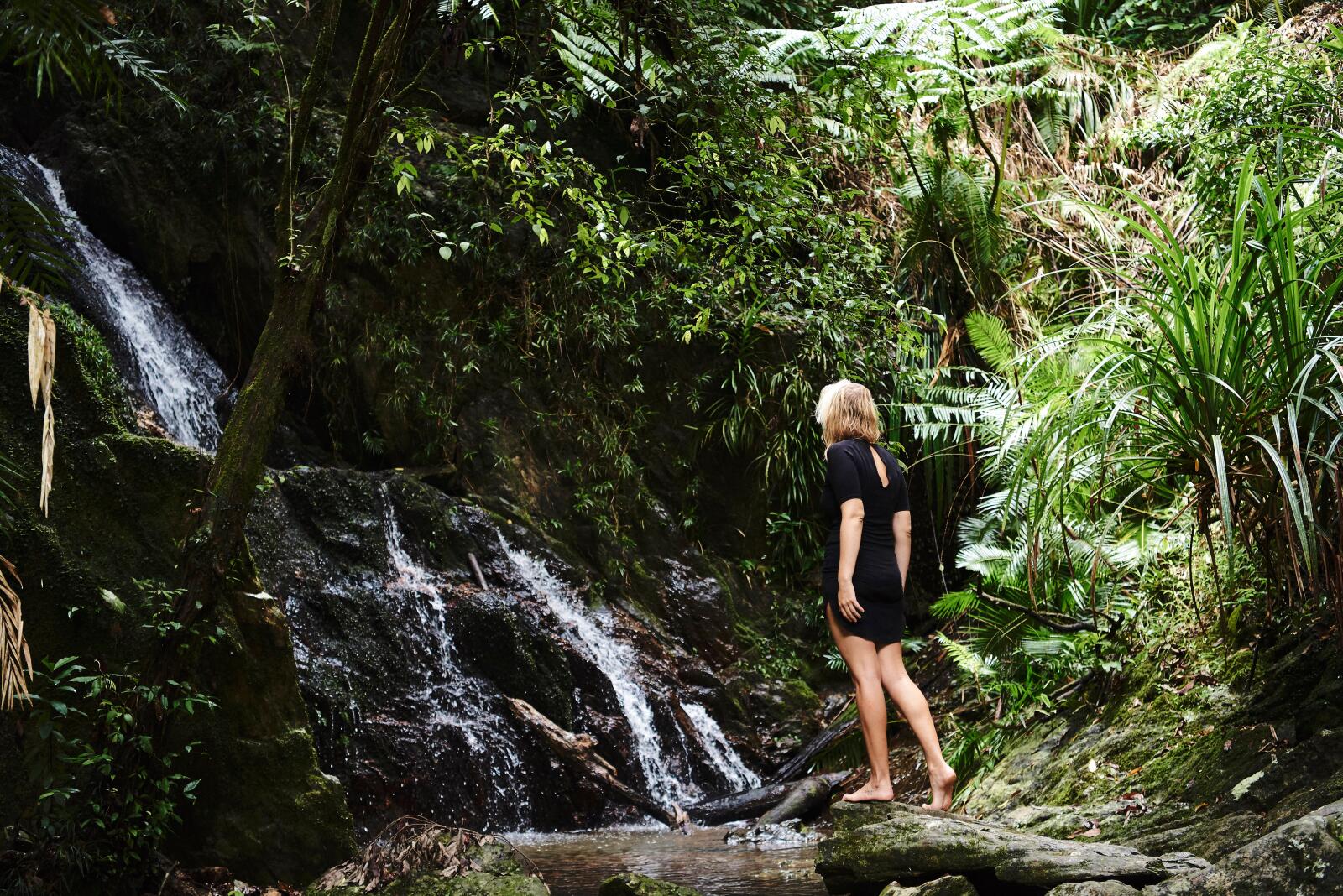 Rainforest Walk