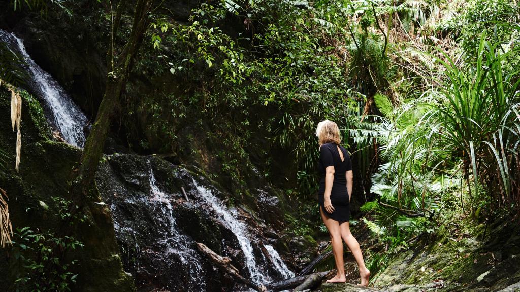 Rainforest Walk