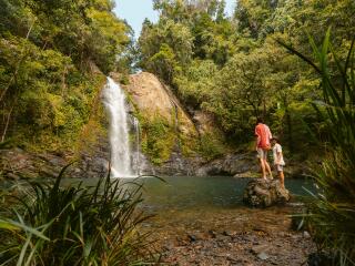 Cassowary Falls Tropical North Queensland