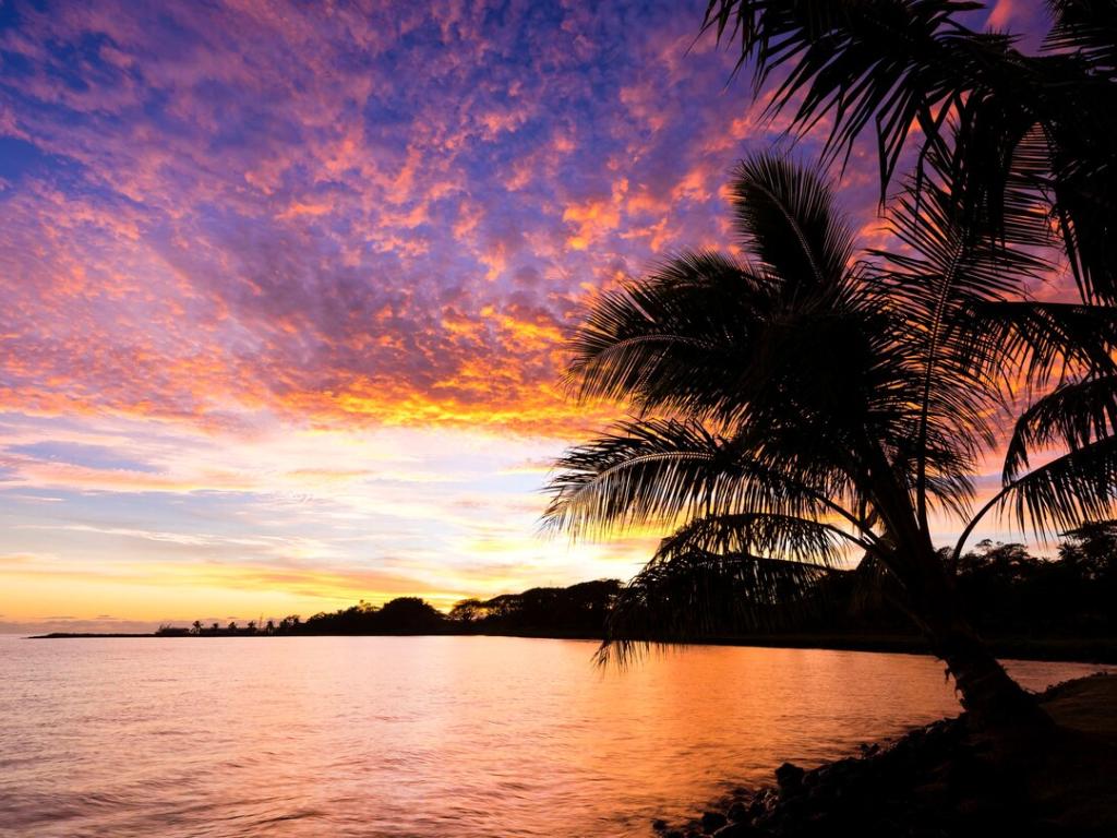 Samoa Wallpapers Top Free Samoa Backgrounds Wallpaperaccess