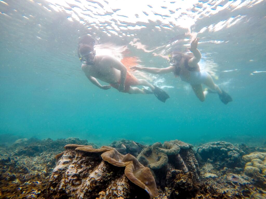 Savaia Giant Clam Reserve - Samoa Tourism