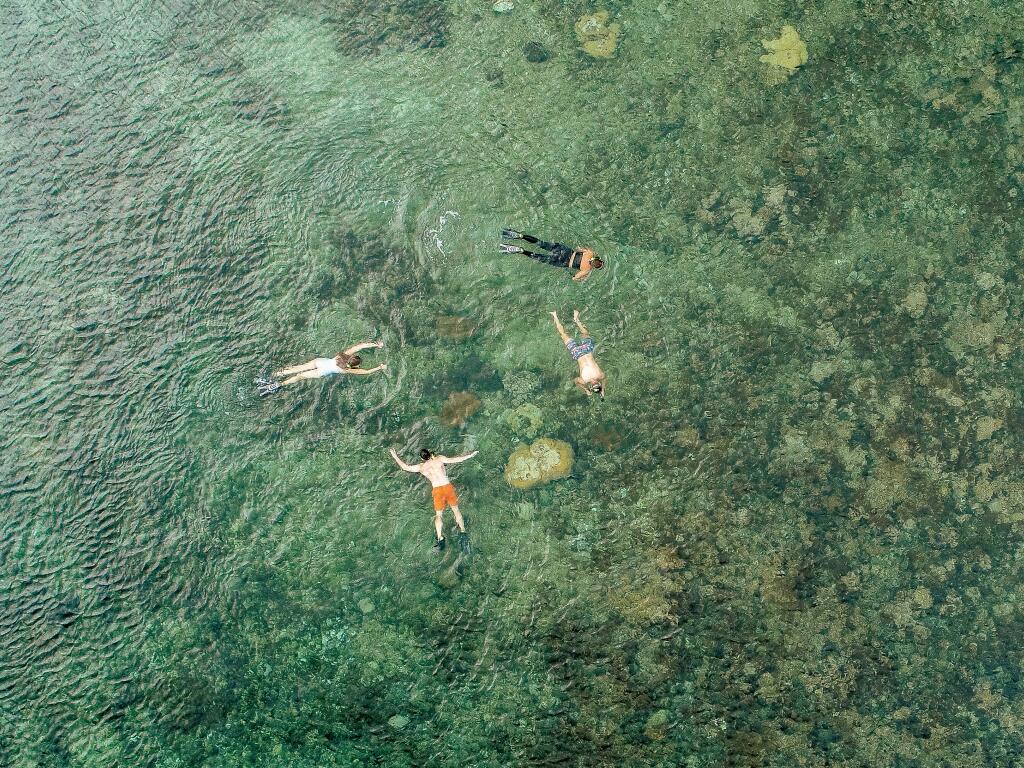 Savaia Giant Clam Reserve - Samoa Tourism