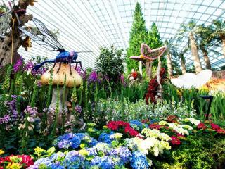 Singapore Flowerdome