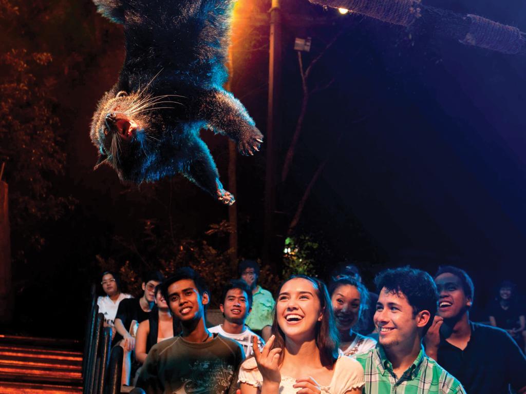 Wildlife Encounter Tour | 4 Hour Night Safari Tour | Singapore Tours Wildlife Encounter Tour | 4 Hour Night Safari Tour | Singapore Tours