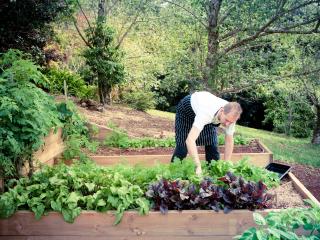 Market Garden