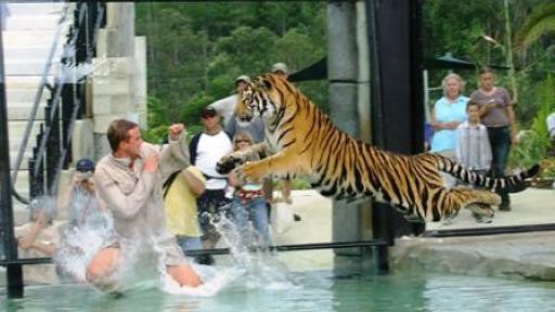 Tiger Temple