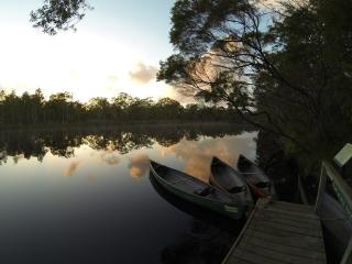 Everglades