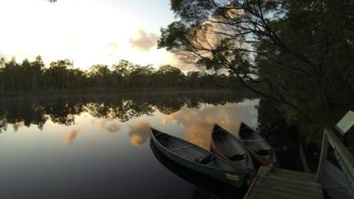 Everglades