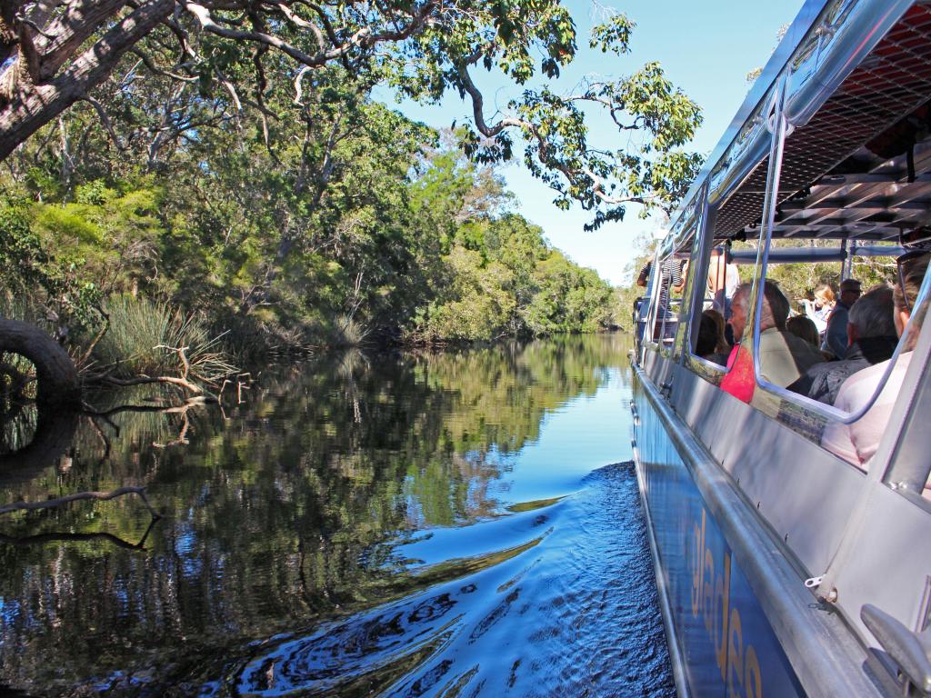 noosa river everglades tours