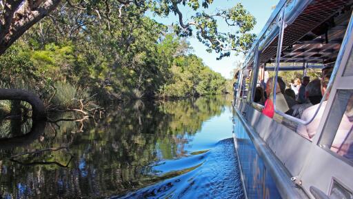 Everglades Explorer