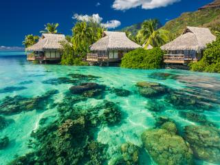Moorea Above and Underwater