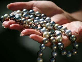 tahitian black pearls