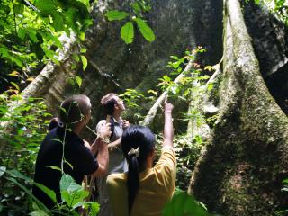 Jungle Trek