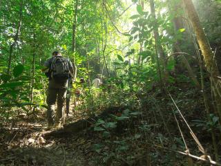 Luxury Tented Camp Jungle Trekking