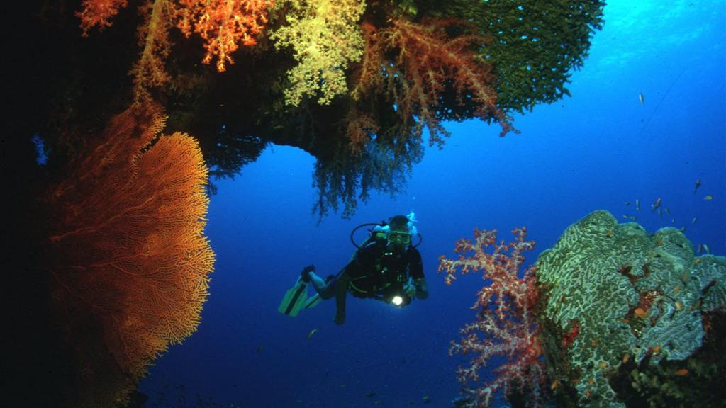 Diving
