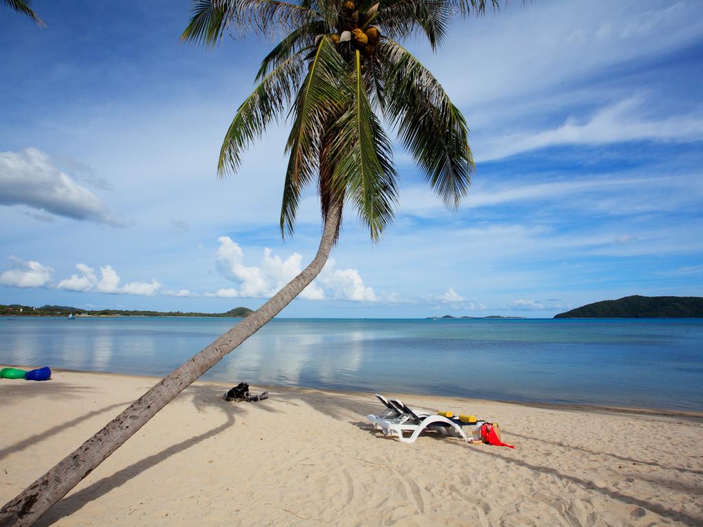 Centra by Centara Coconut Beach Resort Samui