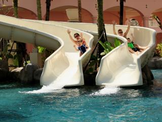 Slides