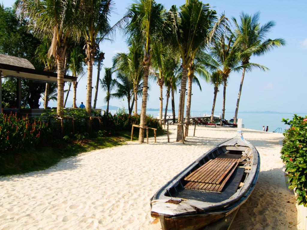 The Village Coconut Island