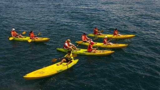 Angthong National Park Snorkelling & Kayaking Tour