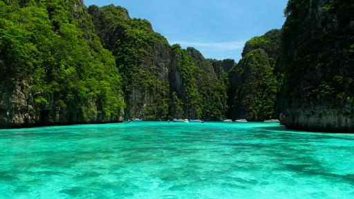 Phi Phi Islands Speedboat Day Tour