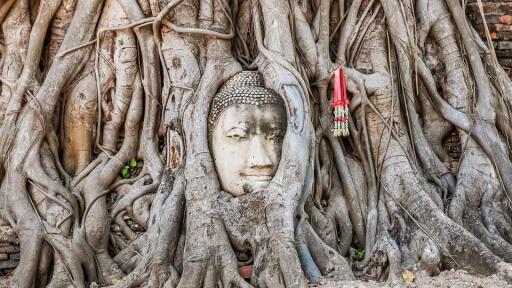 Ayutthaya Temples Small Group Tour with Lunch