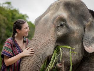 Elephant Sanctuary Chiang Mai