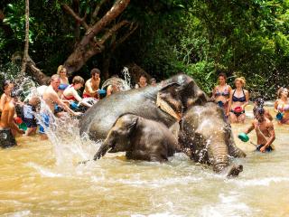 Elephant Jungle Sanctuary