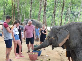 Elephant Jungle Sanctuary