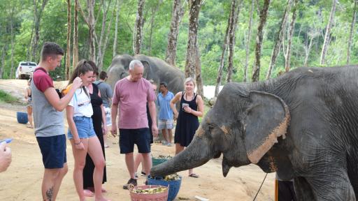 Elephant Jungle Sanctuary
