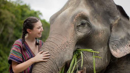 Elephant Sanctuary Chiang Mai